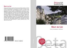 Baur au Lac的封面