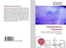 Buchcover von Flavobacterium Columnare
