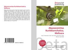 Обложка Abyssocomitas Kurilokamchatica, Mollusca