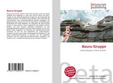 Buchcover von Bauru-Gruppe