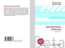 Buchcover von Sphodromantis Pachinota