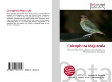 Coleophora Majuscula kitap kapağı
