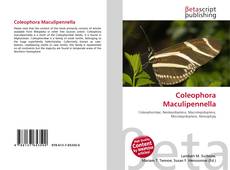 Coleophora Maculipennella kitap kapağı