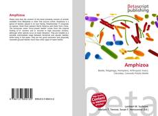 Обложка Amphizoa