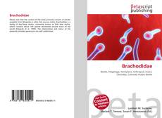 Обложка Brachodidae
