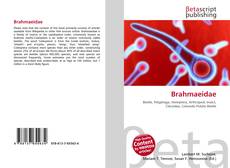 Buchcover von Brahmaeidae