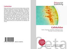 Buchcover von Callidulidae