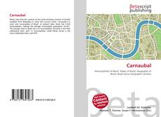 Обложка Carnaubal