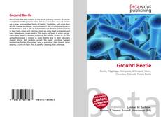 Copertina di Ground Beetle