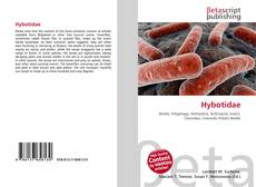 Hybotidae kitap kapağı