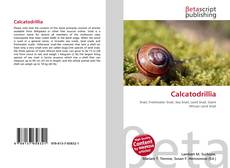 Calcatodrillia kitap kapağı