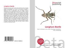 Copertina di Longhorn Beetle