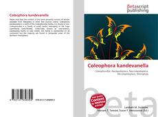 Buchcover von Coleophora kandevanella
