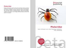 Phalacridae kitap kapağı