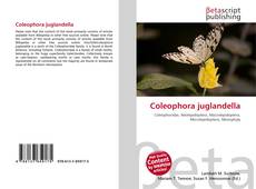 Coleophora juglandella kitap kapağı