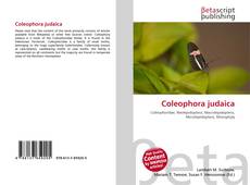 Buchcover von Coleophora judaica