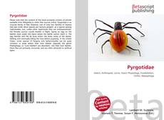 Pyrgotidae kitap kapağı