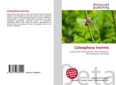 Bookcover of Coleophora Inermis