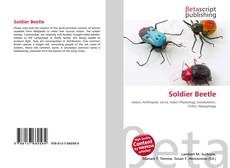 Soldier Beetle kitap kapağı