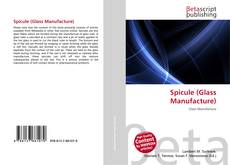 Spicule (Glass Manufacture) kitap kapağı