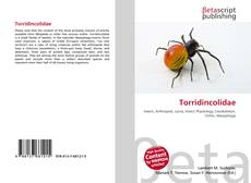 Torridincolidae kitap kapağı