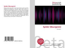 Buchcover von Spider (Bourgeois)