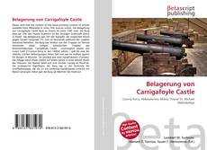 Belagerung von Carrigafoyle Castle的封面