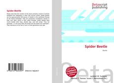 Spider Beetle的封面