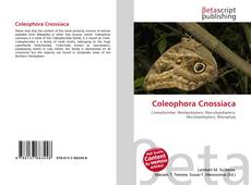 Coleophora Cnossiaca kitap kapağı
