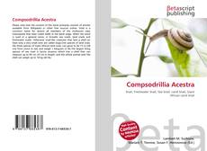 Обложка Compsodrillia Acestra