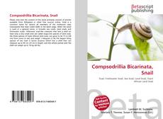 Buchcover von Compsodrillia Bicarinata, Snail