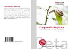 Buchcover von Compsodrillia Duplicata