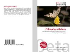 Copertina di Coleophora Orbata