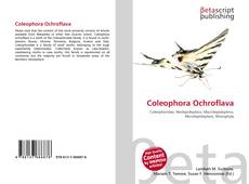 Portada del libro de Coleophora Ochroflava