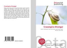 Couverture de Crassispira Drangai