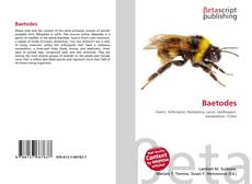 Baetodes的封面