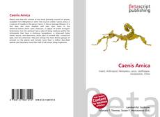Couverture de Caenis Amica
