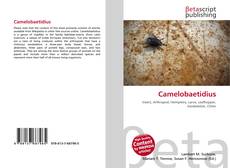 Couverture de Camelobaetidius