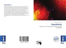 Buchcover von Hypsibema