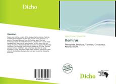 Itemirus kitap kapağı