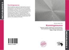 Buchcover von Kunmingosaurus