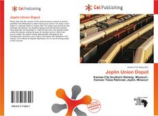 Buchcover von Joplin Union Depot