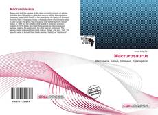 Couverture de Macrurosaurus