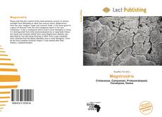 Buchcover von Magnirostris