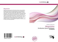 Copertina di Magulodon