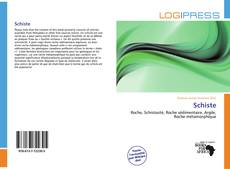 Buchcover von Schiste