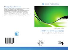 Bookcover of Micropachycephalosaurus