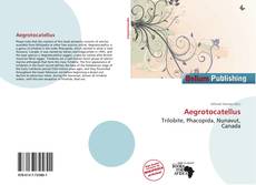 Aegrotocatellus的封面