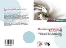 Championnat d'Islande de Football 1923的封面