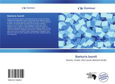 Capa do livro de Baeturia laureli 